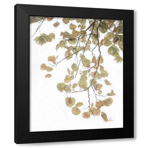 Aspen Leaves IV Black Modern Wood Framed Art Print with Double Matting by Murdock, Ramona