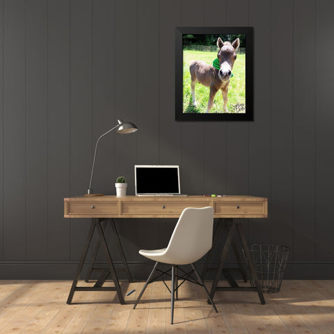Mini Horse I Black Modern Wood Framed Art Print by Dicks, Stephanie