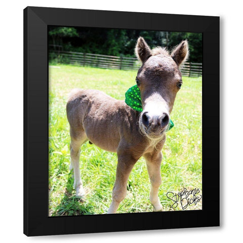 Mini Horse I Black Modern Wood Framed Art Print by Dicks, Stephanie