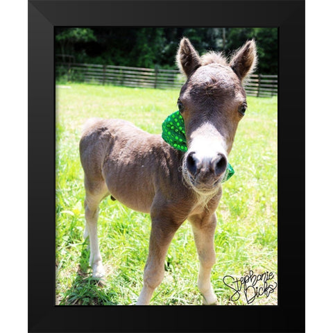 Mini Horse I Black Modern Wood Framed Art Print by Dicks, Stephanie