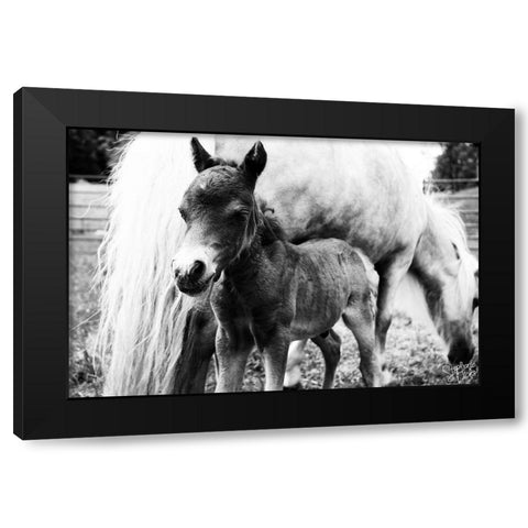 Mini Horse II Black Modern Wood Framed Art Print by Dicks, Stephanie