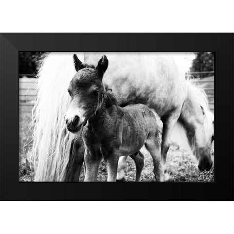 Mini Horse II Black Modern Wood Framed Art Print by Dicks, Stephanie