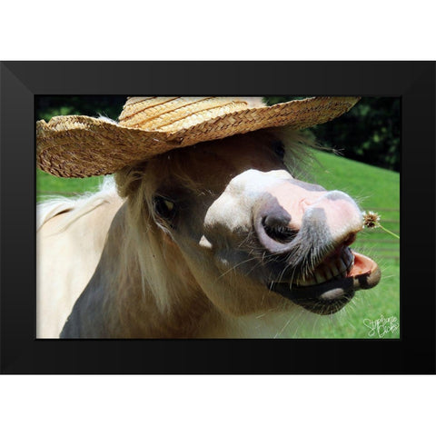 Mini Horse VI Black Modern Wood Framed Art Print by Dicks, Stephanie