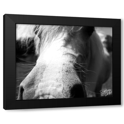 Mini Horse VIII Black Modern Wood Framed Art Print by Dicks, Stephanie