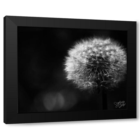 Dandelion Black Modern Wood Framed Art Print by Dicks, Stephanie