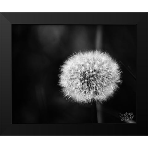 Dandelion II Black Modern Wood Framed Art Print by Dicks, Stephanie
