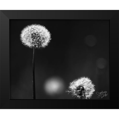 Dandelion III Black Modern Wood Framed Art Print by Dicks, Stephanie