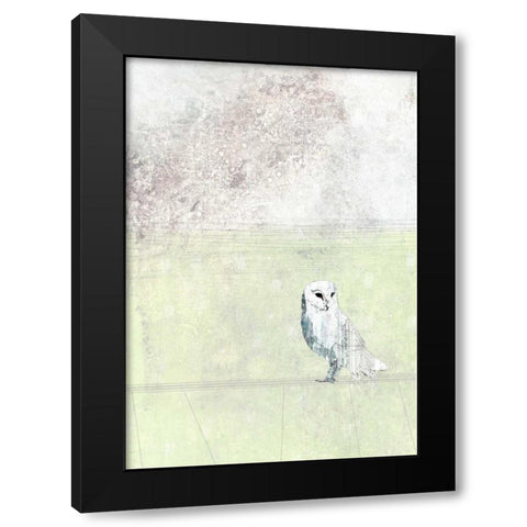 Turquoise Owl Black Modern Wood Framed Art Print by Ogren, Sarah