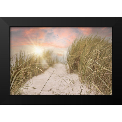 Beach Grass and Sun Black Modern Wood Framed Art Print by Moss, Tara