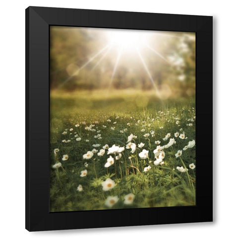 Field and Sun Black Modern Wood Framed Art Print with Double Matting by Moss, Tara