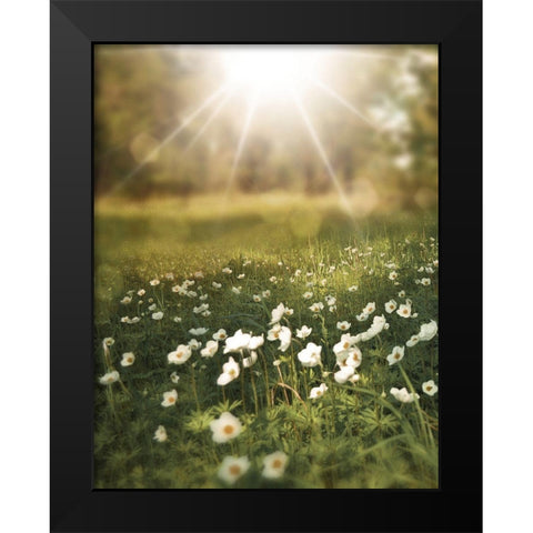 Field and Sun Black Modern Wood Framed Art Print by Moss, Tara