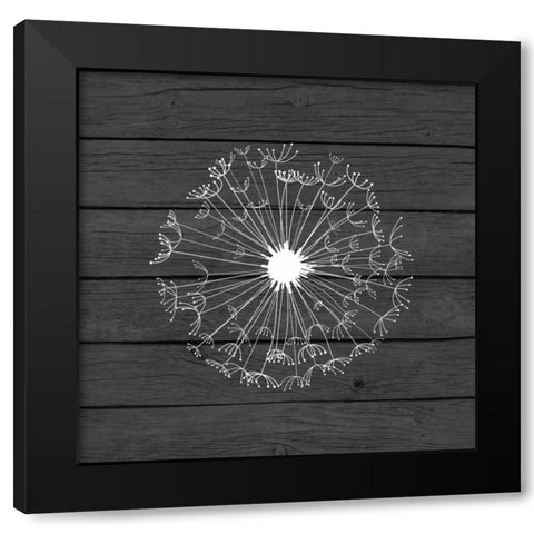 Grey Dandelion II Black Modern Wood Framed Art Print with Double Matting by Robinson, Tamara