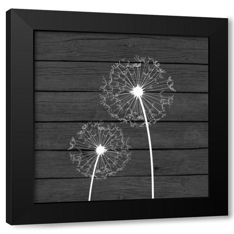 Grey Dandelion III Black Modern Wood Framed Art Print by Robinson, Tamara