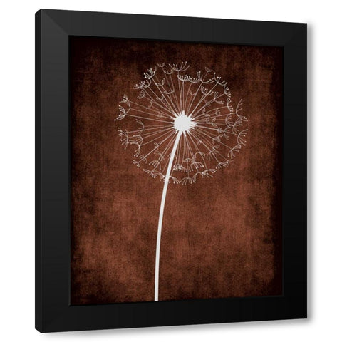 Dandelion on Brown III Black Modern Wood Framed Art Print with Double Matting by Robinson, Tamara