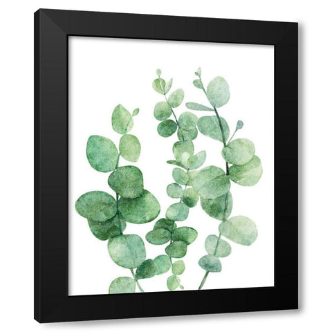 Eucalyptus III Black Modern Wood Framed Art Print with Double Matting by Robinson, Tamara