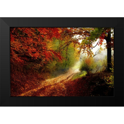 Autumn Forest Edge Black Modern Wood Framed Art Print by Dundon, Denise