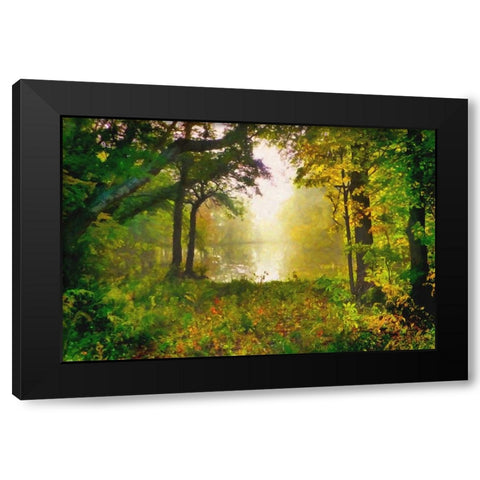 Morning Mist Black Modern Wood Framed Art Print with Double Matting by Dundon, Denise