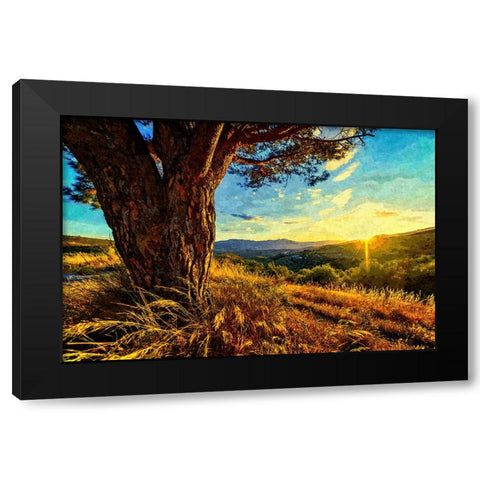 Gnarled Tree at Sunset Black Modern Wood Framed Art Print with Double Matting by Dundon, Denise