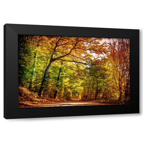Autumn Pathway Black Modern Wood Framed Art Print with Double Matting by Dundon, Denise