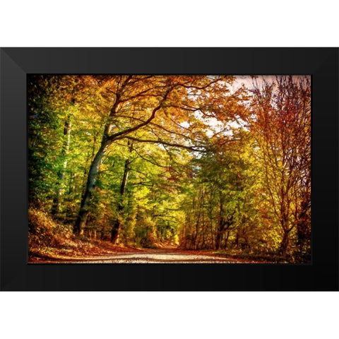 Autumn Pathway Black Modern Wood Framed Art Print by Dundon, Denise