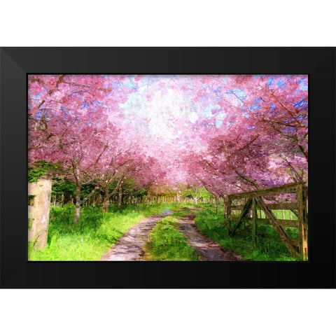 Cherry Blossom Lane Black Modern Wood Framed Art Print by Dundon, Denise