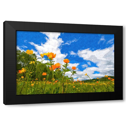 California Poppies Black Modern Wood Framed Art Print by Dundon, Denise