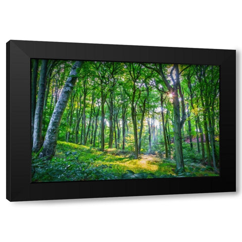 Emerald Forest Black Modern Wood Framed Art Print with Double Matting by Dundon, Denise