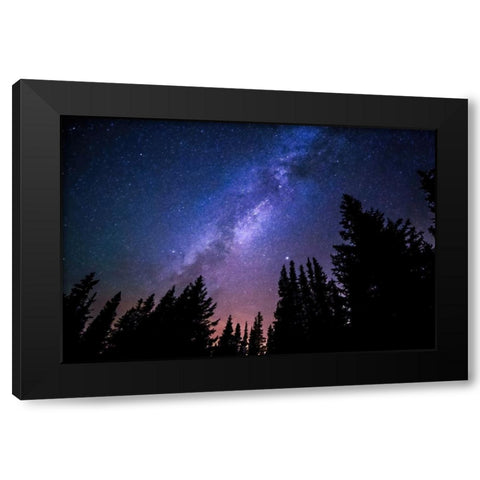 Conifers and Milky Way Black Modern Wood Framed Art Print by Dundon, Denise