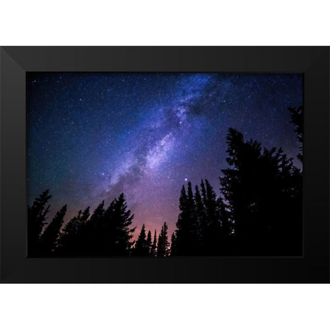 Conifers and Milky Way Black Modern Wood Framed Art Print by Dundon, Denise