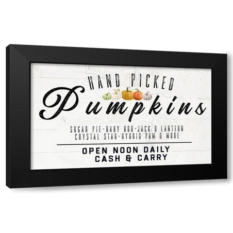 Hand Picked Pumpkin Black Modern Wood Framed Art Print with Double Matting by Wieners, Valerie