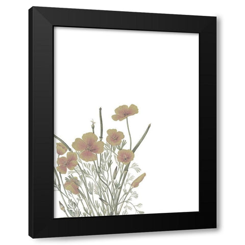 Wildflowers II Black Modern Wood Framed Art Print with Double Matting by Wieners, Valerie