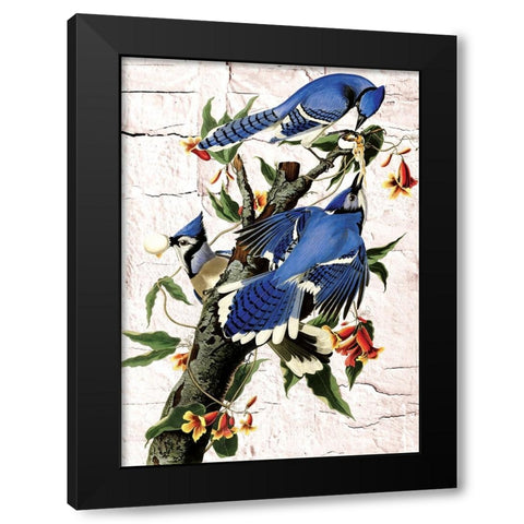 Blue Jays Black Modern Wood Framed Art Print with Double Matting by Burney, Yvonne Coleman