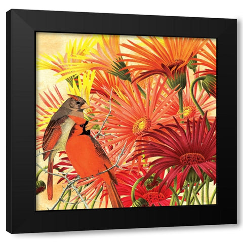 Orange Cardinal Black Modern Wood Framed Art Print with Double Matting by Burney, Yvonne Coleman