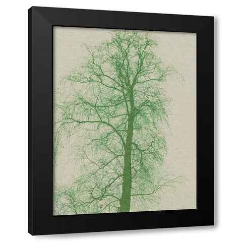 Forest Vibes Black Modern Wood Framed Art Print with Double Matting by Burney, Yvonne Coleman