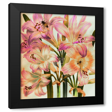 Morning Glory Black Modern Wood Framed Art Print with Double Matting by Burney, Yvonne Coleman