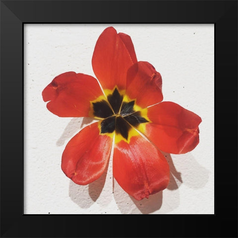 Red Black Modern Wood Framed Art Print by Yellow Cafe