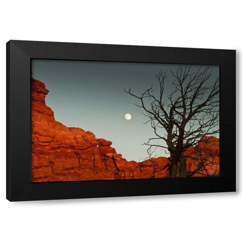 Full Moon Black Modern Wood Framed Art Print by Yellow Cafe