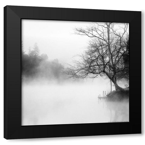Fog on the Lake Black Modern Wood Framed Art Print by Yellow Cafe