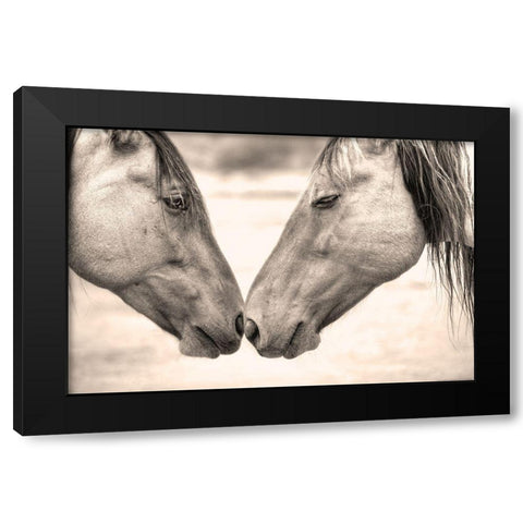 Best Friends II Black Modern Wood Framed Art Print with Double Matting by Yellow Cafe