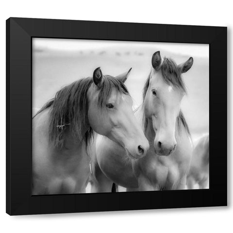 Horse Friends Black Modern Wood Framed Art Print by Yellow Cafe