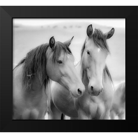 Horse Friends Black Modern Wood Framed Art Print by Yellow Cafe