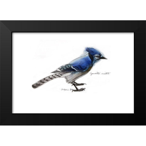 Blue Jay Black Modern Wood Framed Art Print by Yellow Cafe