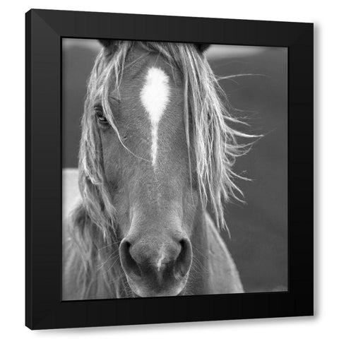 Close Up Black Modern Wood Framed Art Print with Double Matting by Yellow Cafe