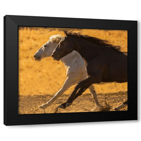 Horse Race Black Modern Wood Framed Art Print by Yellow Cafe