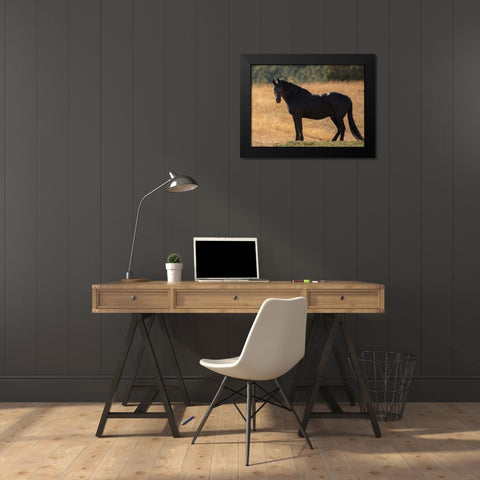 Black Beauty Black Modern Wood Framed Art Print by Yellow Cafe