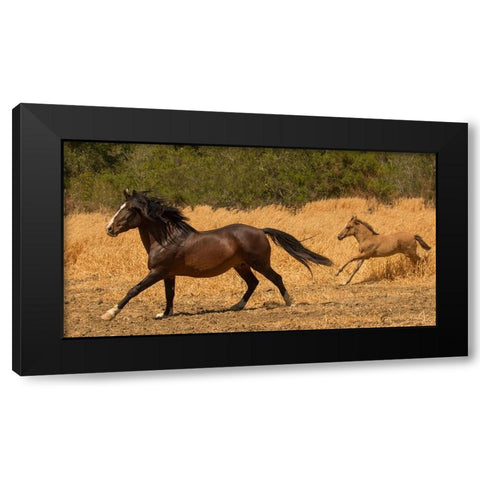 Amante and Amber Black Modern Wood Framed Art Print with Double Matting by Yellow Cafe