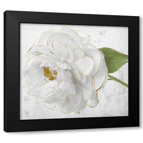 Gilded Peony I Black Modern Wood Framed Art Print with Double Matting by Sommers, Mindy