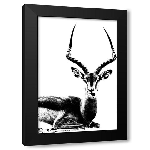 Antelope  Black Modern Wood Framed Art Print with Double Matting by Sommers, Mindy