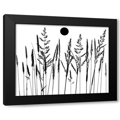 Grassy Moon II Black Modern Wood Framed Art Print by Sommers, Mindy
