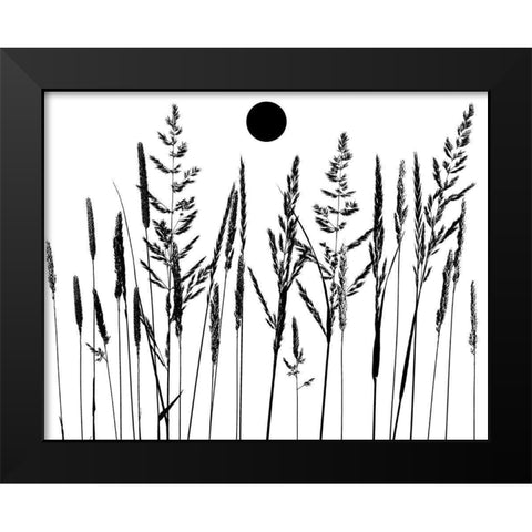 Grassy Moon II Black Modern Wood Framed Art Print by Sommers, Mindy